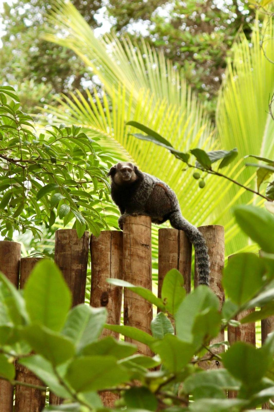 Cabana Fluir - Taipu De Fora - Peninsula De Marau Barra Grande  Exteriör bild